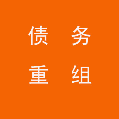 山城个人债务重组优化